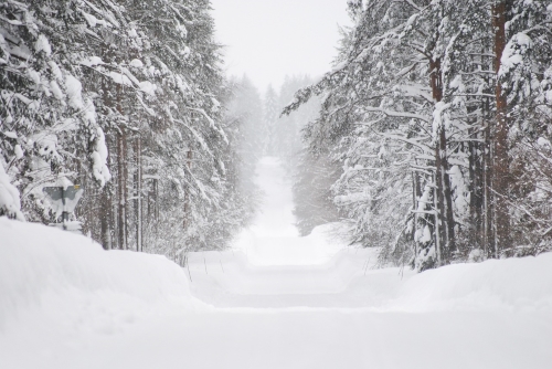 Dillon Snow Plowing Colorado